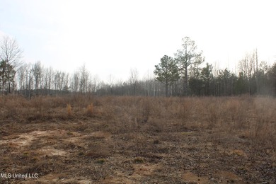 7.82 acres located south of Highway 78 between Red Banks and - photo 7