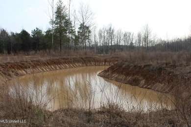 7.82 acres located south of Highway 78 between Red Banks and - photo 9