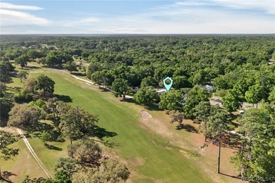 18th Fairway! Expansive views from your florida room with a - photo 22