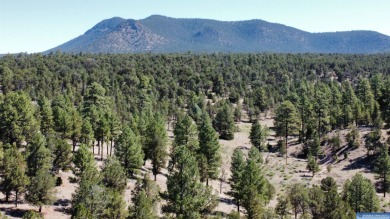 Lake Lot For Sale in Quemado, New Mexico