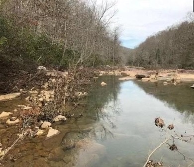 (private lake, pond, creek) Acreage For Sale in Wilder Tennessee