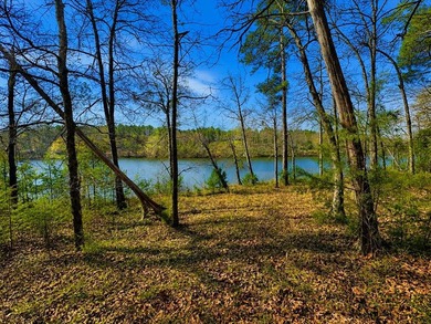 Lake Greenwood Lot For Sale in Hodges South Carolina