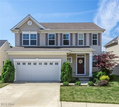 Lake Erie - Lorain County Home Sale Pending in Avon Lake Ohio