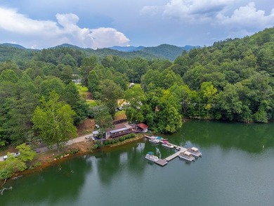 Seize the opportunity to own a flourishing boat rental business - photo 1