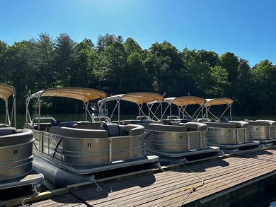 Seize the opportunity to own a flourishing boat rental business - photo 3