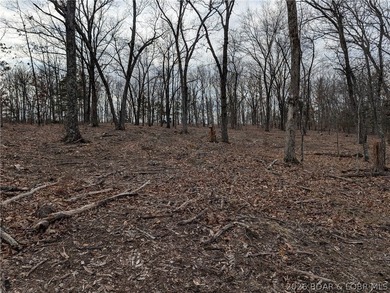 Don't miss this rare opportunity to own a nice, gentle 3 acre - photo 11
