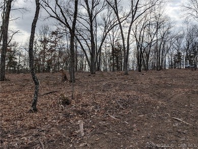 Don't miss this rare opportunity to own a nice, gentle 3 acre - photo 12