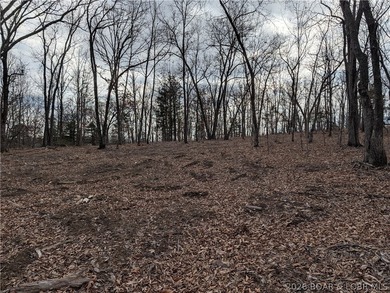 Don't miss this rare opportunity to own a nice, gentle 3 acre - photo 13