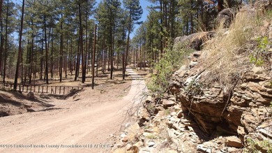 Wonderful opportunity to own 17.54 ac. land in Ruidoso. Live in - photo 13