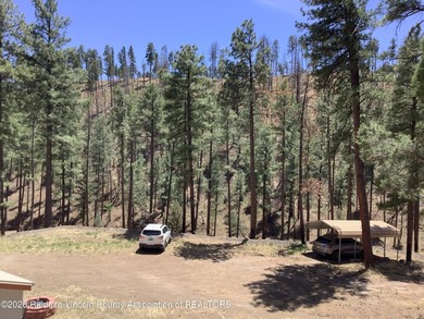 Wonderful opportunity to own 17.54 ac. land in Ruidoso. Live in - photo 14