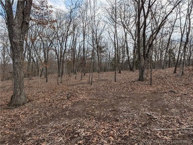 Don't miss this rare opportunity to own a nice, gentle 3 acre - photo 15