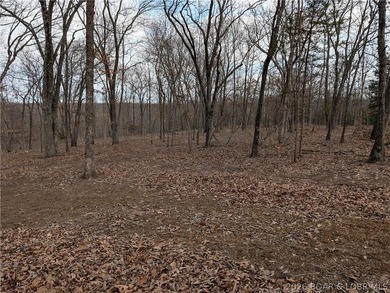 Don't miss this rare opportunity to own a nice, gentle 3 acre - photo 16