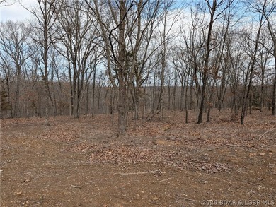 Don't miss this rare opportunity to own a nice, gentle 3 acre - photo 17