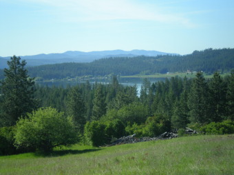 Waitts Lake Acreage For Sale in Valley Washington