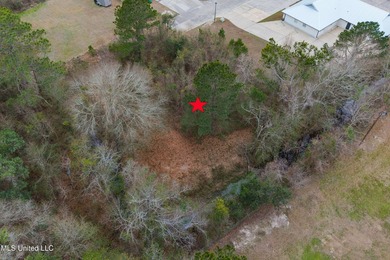 Prime commercial opportunity in the heart of Bay St. Louis! This - photo 9
