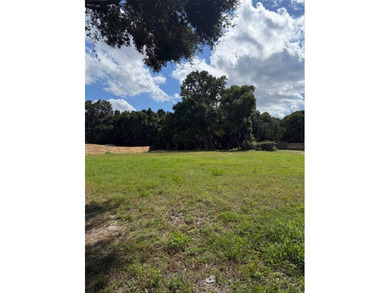 Lake Runnymede  Lot For Sale in ST Cloud Florida