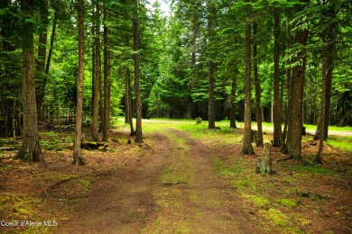 Lake Acreage For Sale in Careywood, Idaho