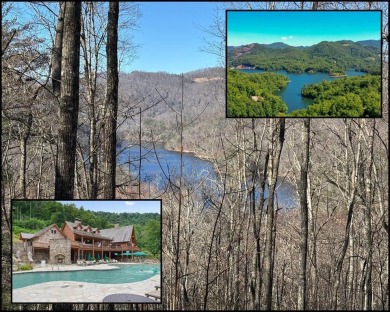 Lake Lot For Sale in Tuckasegee, North Carolina