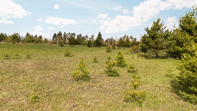 Build your dream home on this beautiful 1+acre lot in a - photo 6