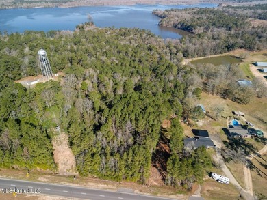 13.4 acres MOL of peaceful countryside featuring frontage on Hwy - photo 4
