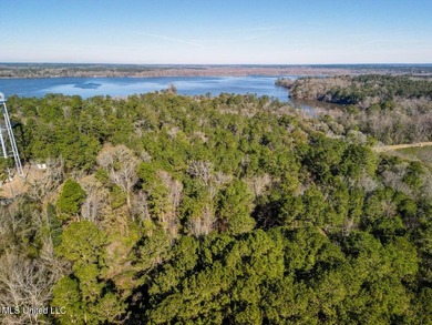 13.4 acres MOL of peaceful countryside featuring frontage on Hwy - photo 6