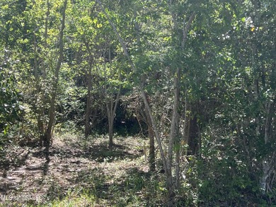 Builders! Take notice ! 232 round frontage! Prime opportunity to - photo 3