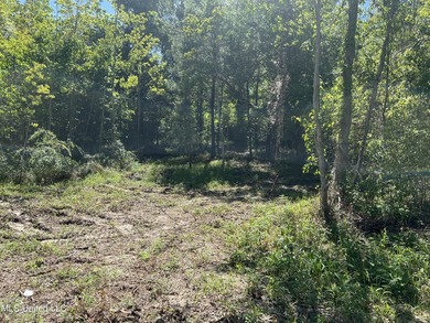Builders! Take notice ! 232 round frontage! Prime opportunity to - photo 4