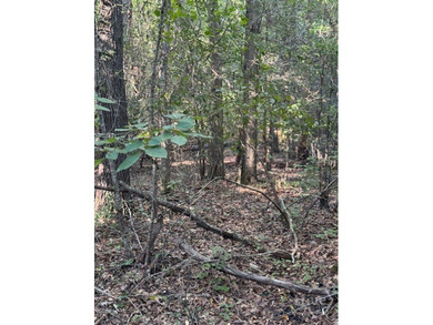 (private lake, pond, coastal) Acreage For Sale in Jefferson Georgia