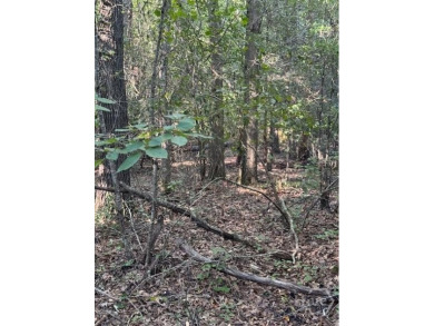 Lake Acreage For Sale in Jefferson, Georgia