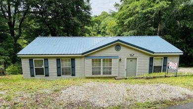 Easy slope & great view, unrestricted neighborhood! Call Josh! - Lake Home For Sale in Westview, Kentucky