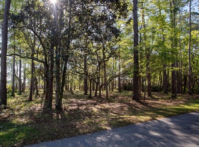 Seller will credit $15,000 at closing for buyer closing costs or - photo 11