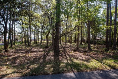 Seller will credit $15,000 at closing for buyer closing costs or - photo 12