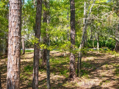 Seller will credit $15,000 at closing for buyer closing costs or - photo 18