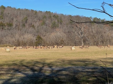 Lake Acreage For Sale in Marshall, Arkansas