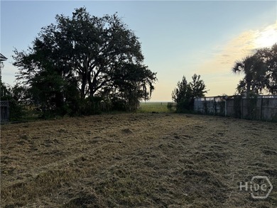 One of the last remaining Marh front views on Wilmington Island - photo 3