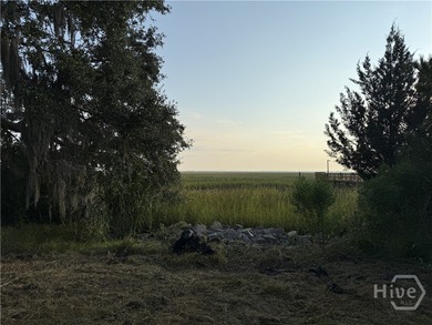 One of the last remaining Marh front views on Wilmington Island - photo 4