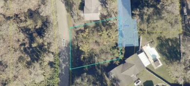 Lake Lot For Sale in Lake Panasoffkee, Florida