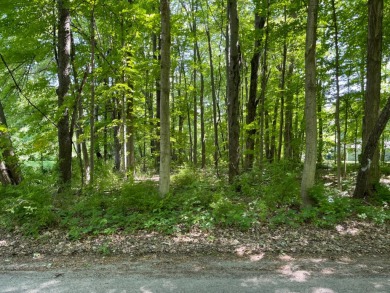 Hudson Lake Lot For Sale in New Carlisle Indiana