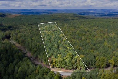 Lake Acreage For Sale in Spencer, Tennessee
