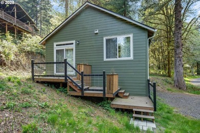 Life is good at the serene Fishhawk Lake! Set along the deer and - photo 24