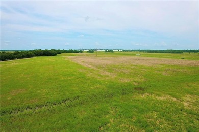 Peaceful country living is just minutes from I-35 and Wynnewood - photo 8