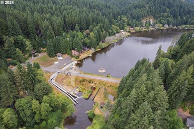 Life is good at the serene Fishhawk Lake! Set along the deer and - photo 36