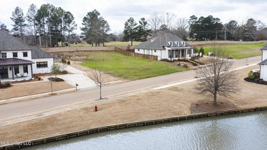 Perfect lot across from the lake in Stone Lake subdivision! - photo 2