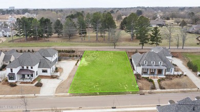 Perfect lot across from the lake in Stone Lake subdivision! - photo 3