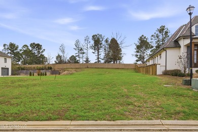 Perfect lot across from the lake in Stone Lake subdivision! - photo 4