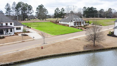 Perfect lot across from the lake in Stone Lake subdivision! - photo 8