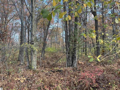 Lake Acreage For Sale in Omer, Michigan