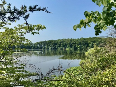 Lake Acreage For Sale in Mendon, Michigan