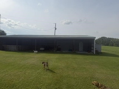 This listing has 3 options. Option1 - House, sheds, shop, barn - photo 14