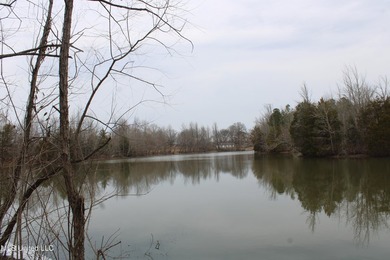 (private lake, pond, coastal) Acreage For Sale in Lake Cormorant Mississippi
